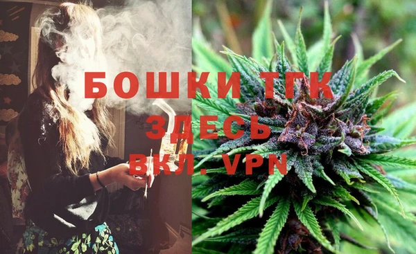 дмт Алексин