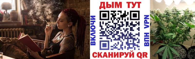 Бошки марихуана THC 21%  что такое наркотик  Пошехонье 